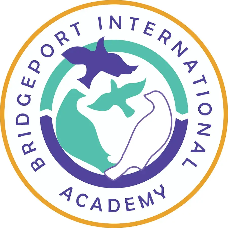 Bridgeport International Academy Logo