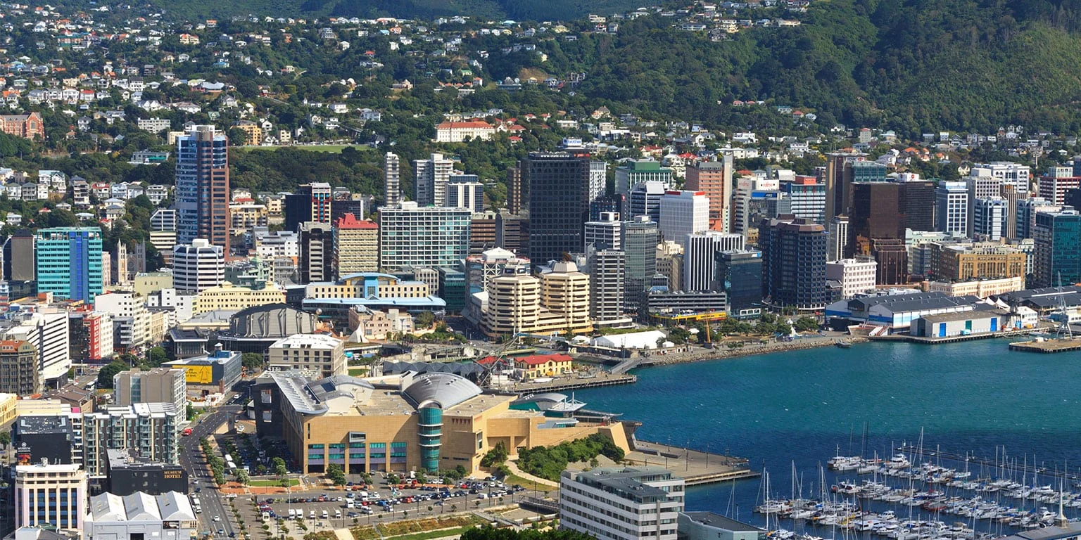 wellington2